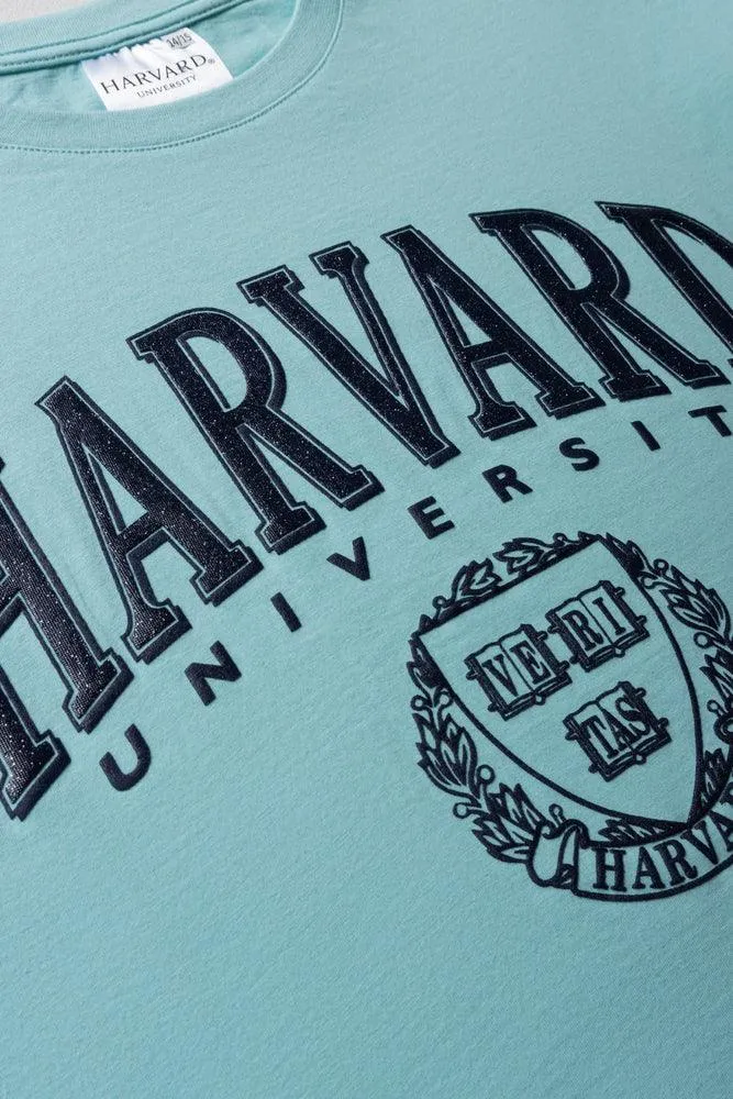 Harvard Boxy Short Sleeve T-Shirt Aqua