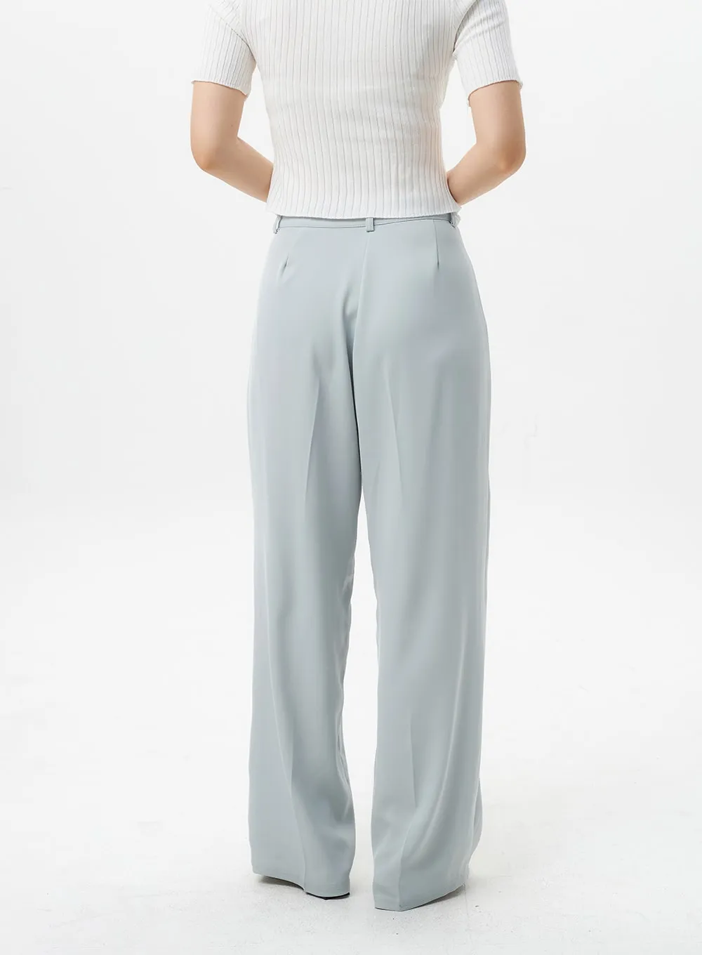 Wide Tailored Pants OL303